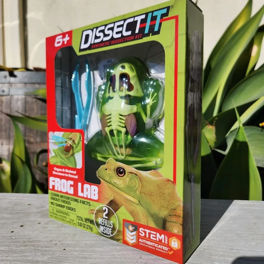 NEW Dissect-it Synthetic Lab Dissection Toy STEM KIT CRAFT Frog Easter gift